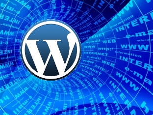 make_your_website_faster_speed_up_guide_tutorials_tools_id32376411_optimize_wordpress.jpg