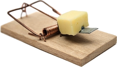 online_plagiarism_detect_fight_report_unauthorized_content_republication_guide_mousetrap_id377818.jpg
