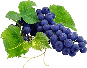 social_media_marketing_roi_return_on_investment_grapes_id4065811.jpg