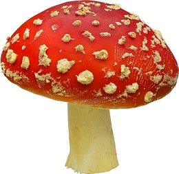 social_media_marketing_roi_return_on_investment_mushroom_id5481331.jpg