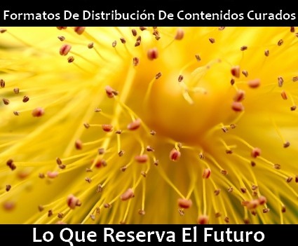 curaduria_de_contenidos_formatos_distribucion.jpg