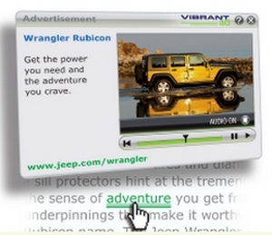 digital-video-advertising-overview_example2.jpg