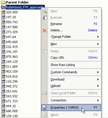 asmartftp_folder_properties.gif