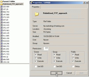 asmartftp_folder_setting.gif