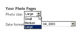photopagesize.gif