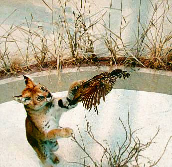 307006_1231_o2.jpg