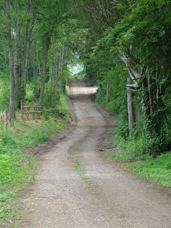 433136_28118514.jpg