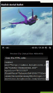 Brightcove_video_sharing_code2.jpg