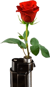 Creative_thinking_SCAMPER_put_to_another_use_id20985931_large.jpg