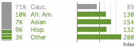 Demographics-Audience-MasterNewMedia-Ethnicities-Oct2008.gif