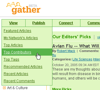 Gather_main_interface.gif