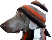 How_to_monetize_free_tim_oreilly_hat_id52955.jpg