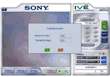 IVE_interface.gif