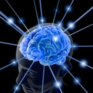 Media_literacy_digest_siemens_brain_id1763401.jpg