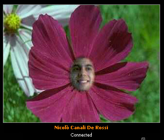 Nico_fiore.jpg