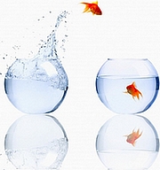 Online-content-strategies-best-of2008-better-than-free-id690012.jpg