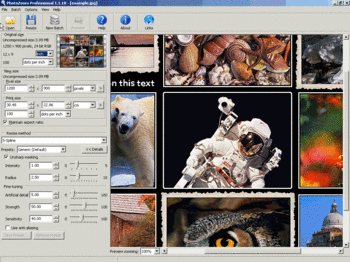Photozoom.jpg