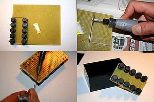 RobinPad05-300.jpg