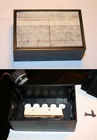 RobinPad06-200.jpg