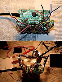 RobinPad09-200.jpg