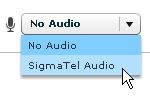 Screentoaster-audio-recording.gif