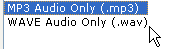 SightSpeed-output-to-audio-formats.gif