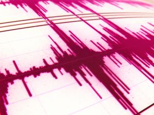 another_waveform_sibaudio.jpg