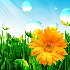basic-web-site-design-images_id5677041_size245.jpg