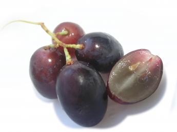 black_grapes_by_stoper.jpg