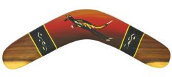 boomerang-backlash_id289579_size250.jpg