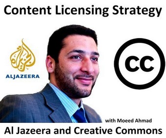 content_licensing_moeed_ahmad_size485_by_joi_b.jpg