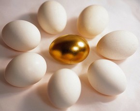 content_search_navigation_golden_egg_7642269.jpg