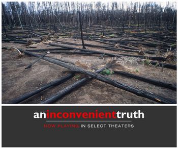 dead_trees_350.jpg