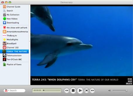 democracy_dolphin.jpg