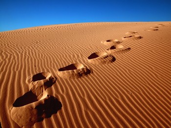 desert_steps_id58672_size350.jpg