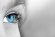 eye_id206414_size190.jpg