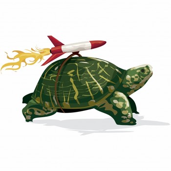 Flying Turtle