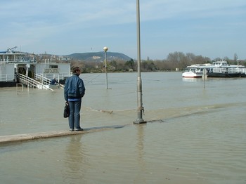 flood2.jpg