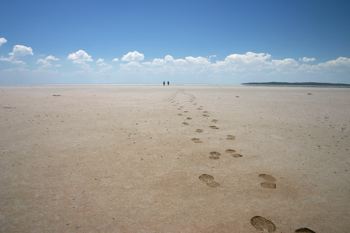 footprintssmm.jpg