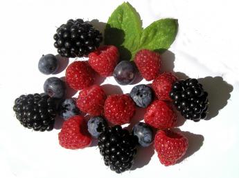 fruit_II_by_Marta.jpg