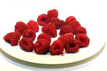 fruit_salad_by_just4you.jpg