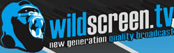 hd-video-publishing-wildscreen.jpg