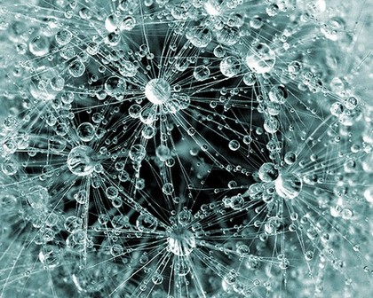 ice_drops.jpg