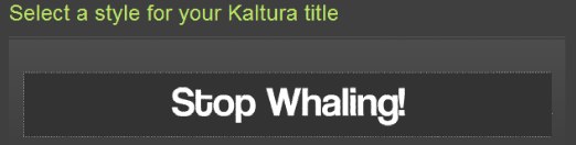 kaltura_fonts.jpg
