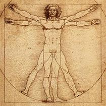media_literacy_george_siemens_vitruvian_man.jpg