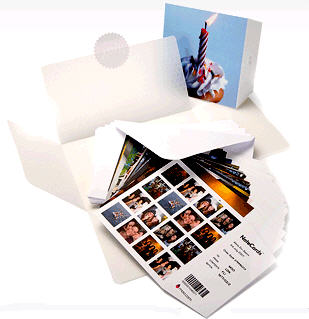 moo_notecards_pic.jpg