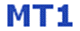 mt1_logo.gif