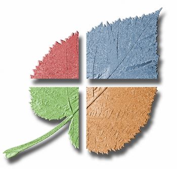 multi_colored_leaf_350.jpg