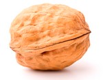nutshell_id5729271_size150.jpg