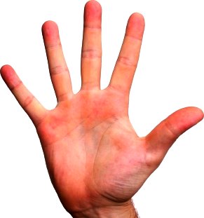 online_content_distribution_strategies_five_hand_by_solotravelblog.jpg